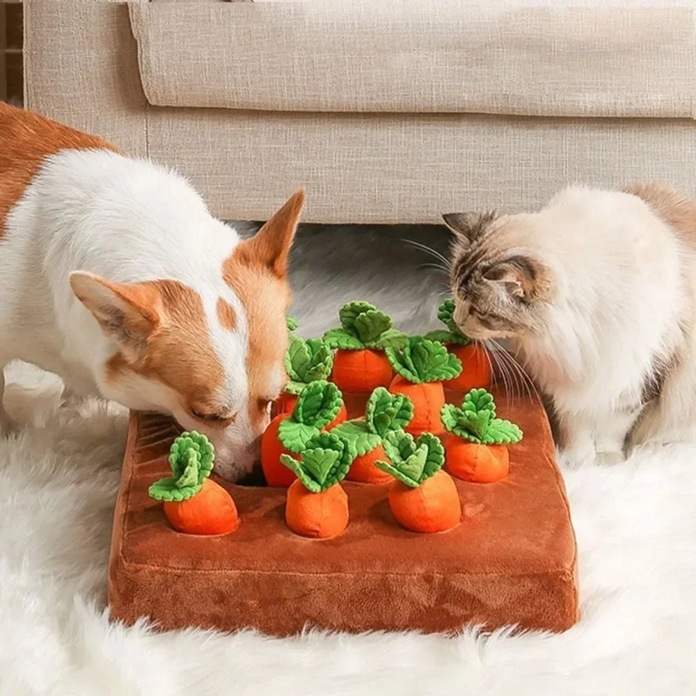 The Easter Pillow Mat